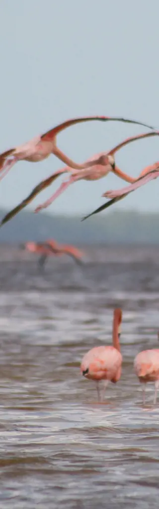 Mexiko – Yucatan Rundreise mit Unterkunft in Hacienda